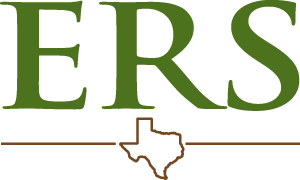 Employees Retirement System of Texas